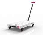 color#White/Pink